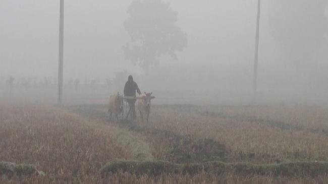 panchagarch cold fog