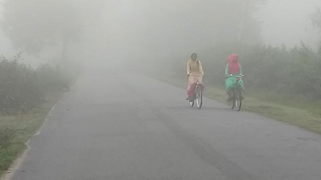panchagarh cold wave 1