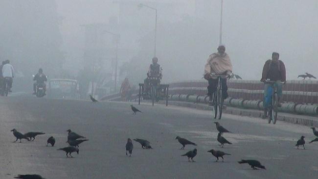 panchagarh cold wave