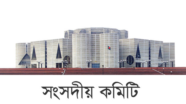 parliamentary committee