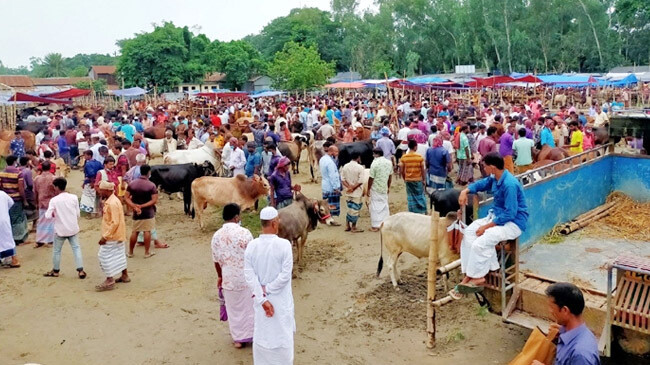 people in market