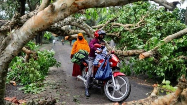 people started to go back to normal life after cyclone
