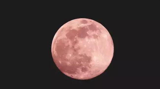 pink moon