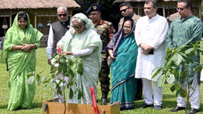 pm environment
