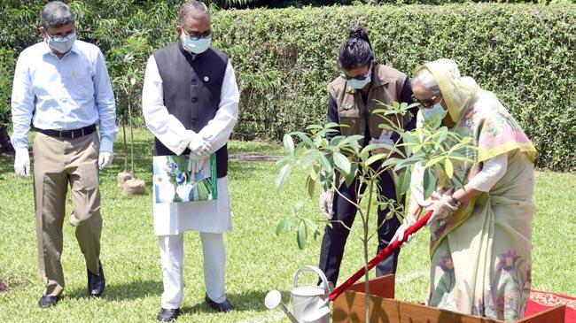 pm hasina tree plantin 2