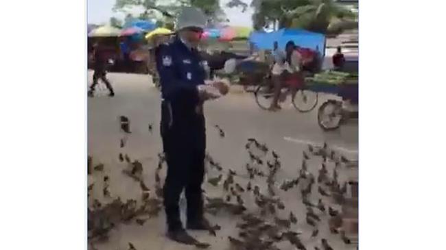 police officer feeding birds01