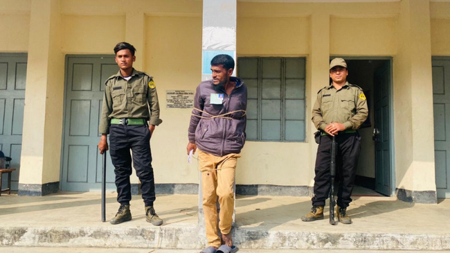 polling agent salim