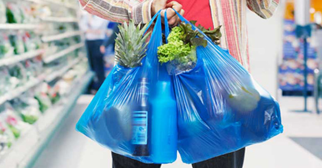 polythene bag