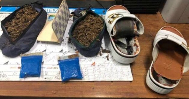 pot in shoe