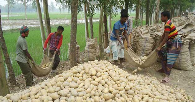 potato bazar