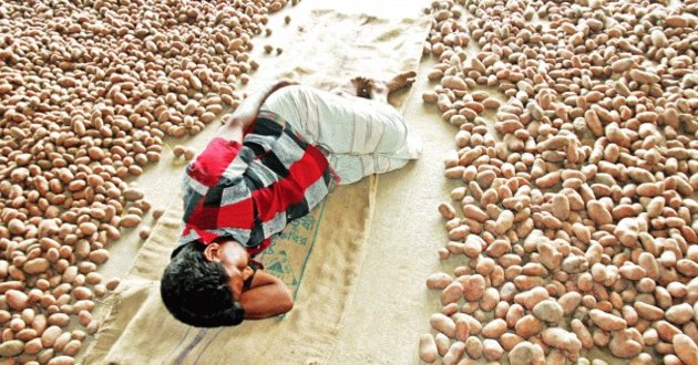 potato market