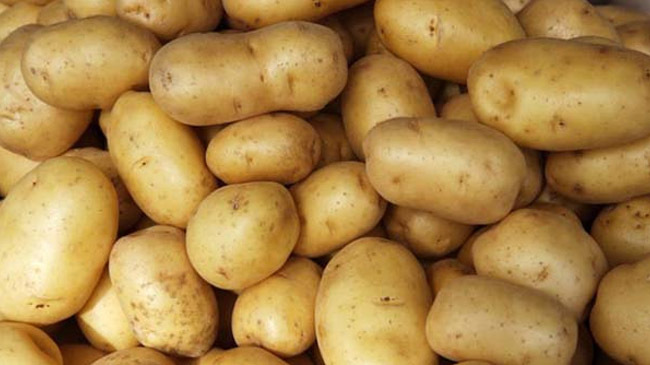 potato price fixed