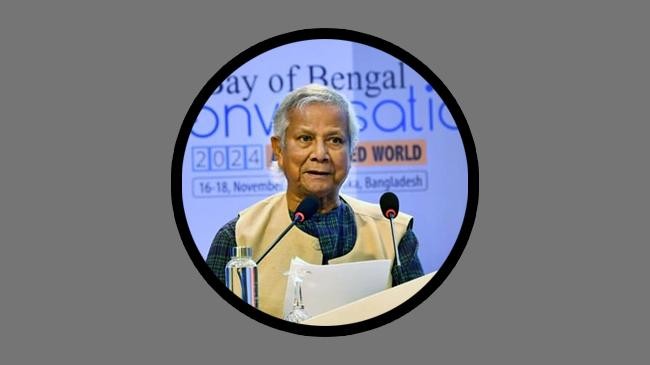 professor muhammad yunus 4