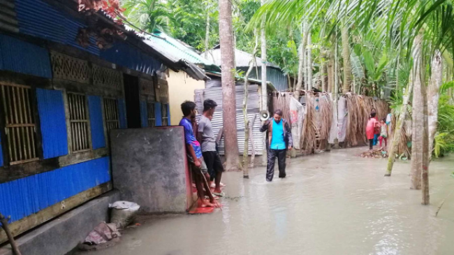 prozpur