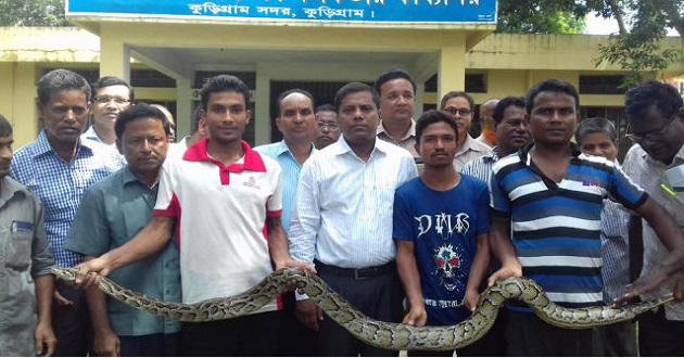 python comes by flood