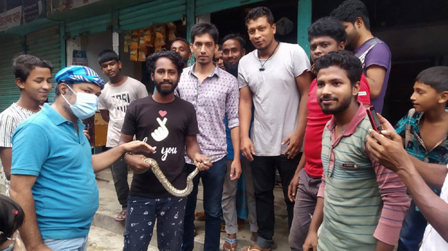 python in sylhet