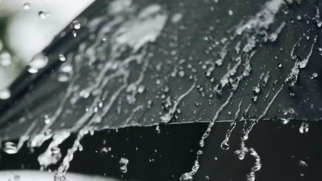 rain umbrella