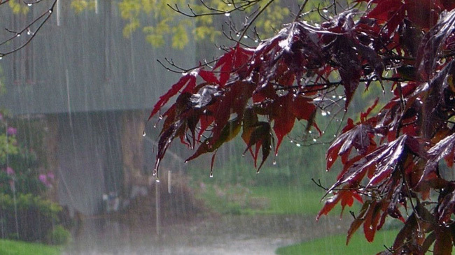 rain