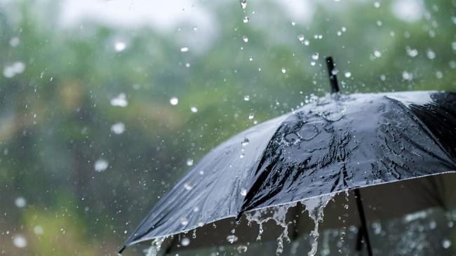 rain 15