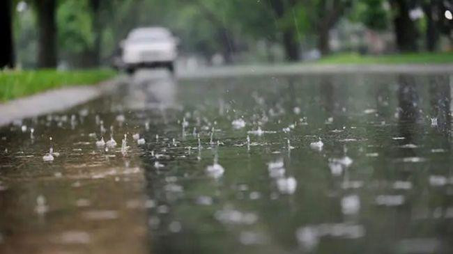 rain 16