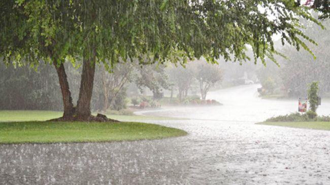 rain 8