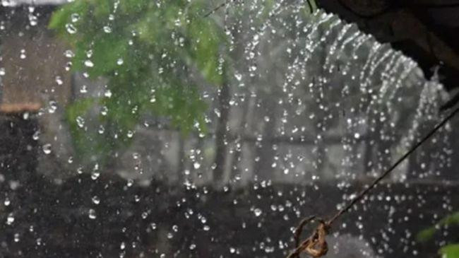 rain 9