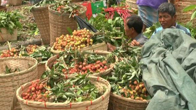 rangamati creampie litchi