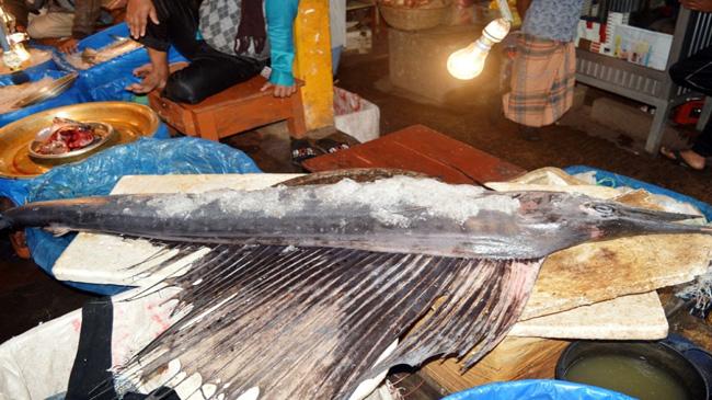 rare species fish in sylhet