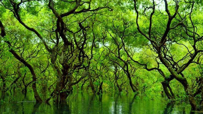 ratargul ruposhi bangladesh