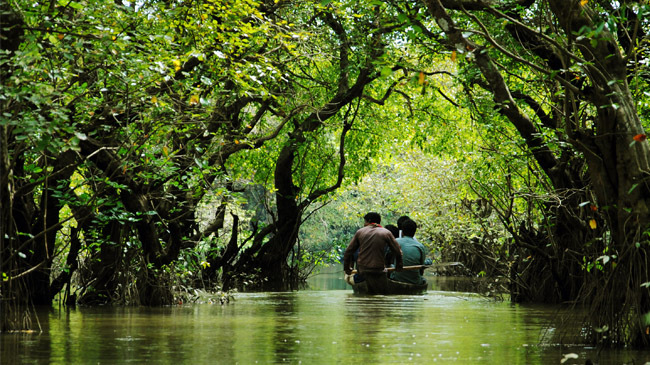 ratargul swamp forest