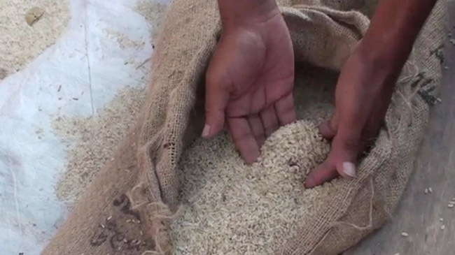 rice kit1