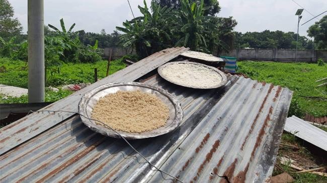 rice 3
