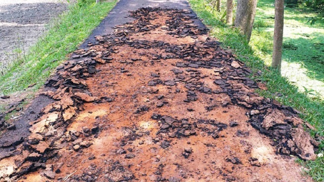 road damged