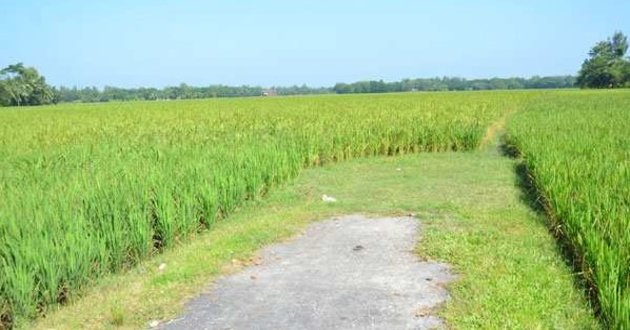 road in land