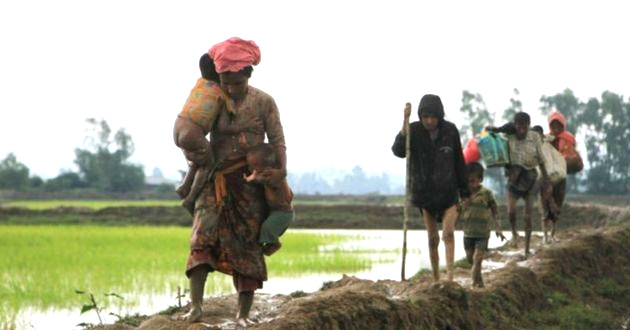 rohingha in bangladesh