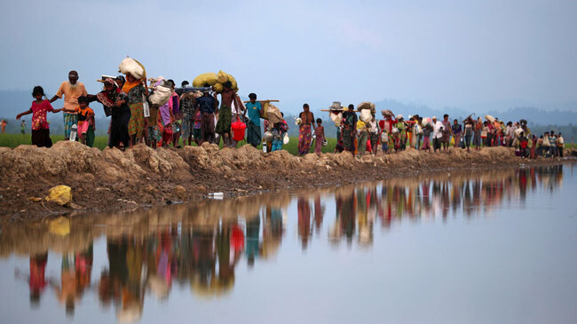 rohingya crisis regulation unhcr