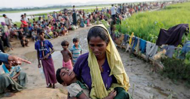 rohingya crisis