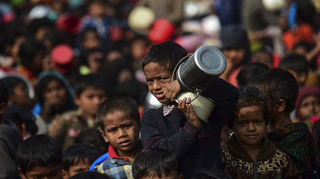 rohingya food crisis pic