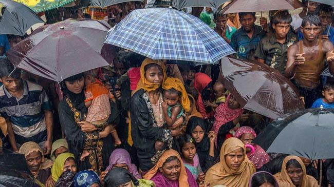 rohingya issue tib