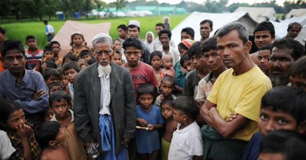 rohingya killed