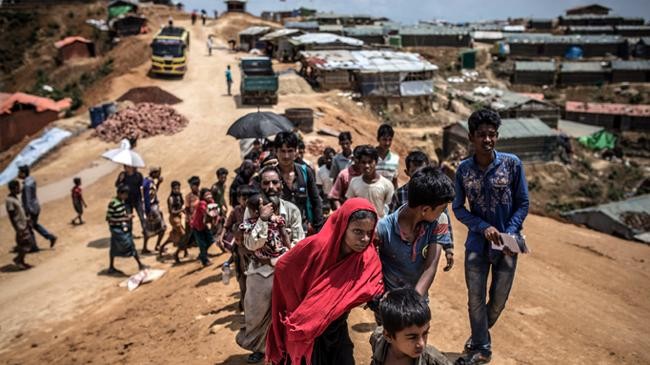 rohingya refugee