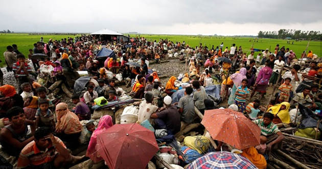 rohingya refugees