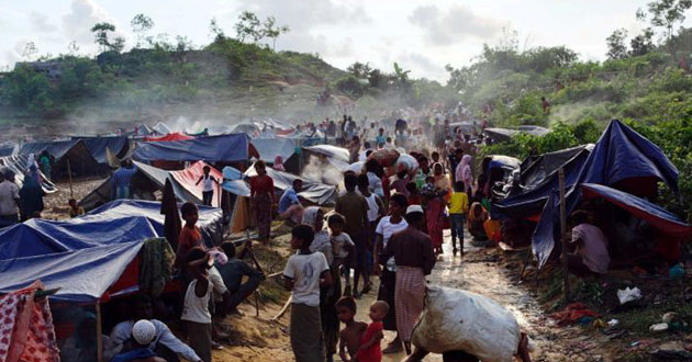 rohingyaa news