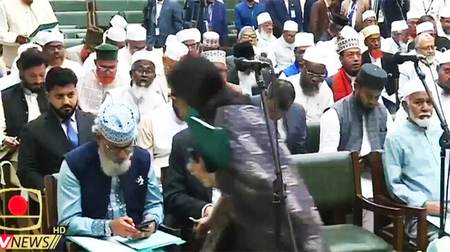 সংবিধান সংস্কার পরিষদের শপথে বেরিয়ে গেলেন রুমিন-ইশরাক