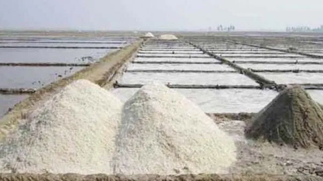 salt iodine bill parliament