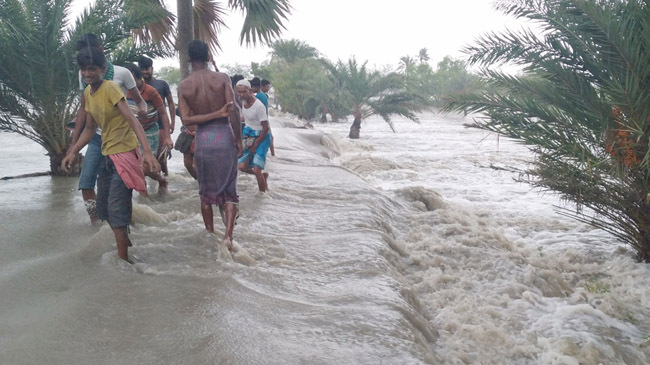 satkhira fish field washed away inner