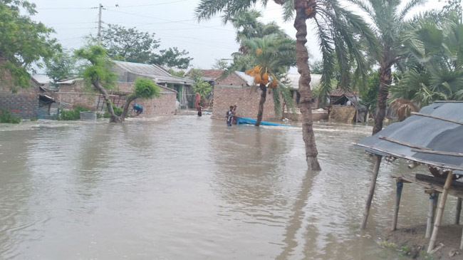 satkhira fish field washed away