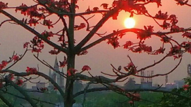 seeing sun