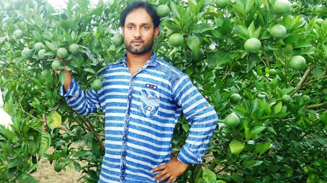 simul cultivate multa