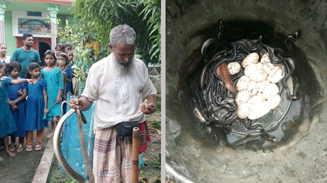 snake rupgonj